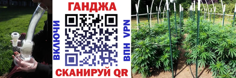 Где купить наркоту Ардатов Канабис  APVP  Кокаин  ГАШИШ  АМФ  Меф мяу мяу 