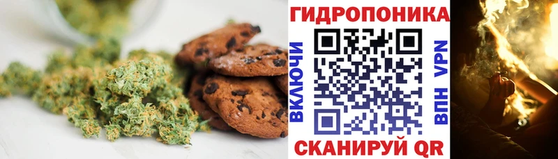 продажа наркотиков  Ардатов  Canna-Cookies марихуана 