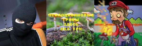 метамфетамин Алексеевка